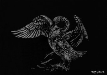 SWAN II, album cover art, Ginta Bane